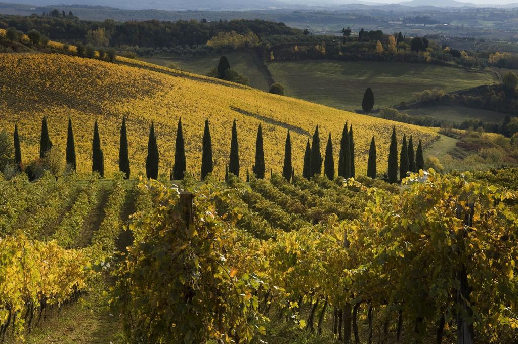 Agriturismo Campo Lungo San Donato in Poggio Oda fotoğraf